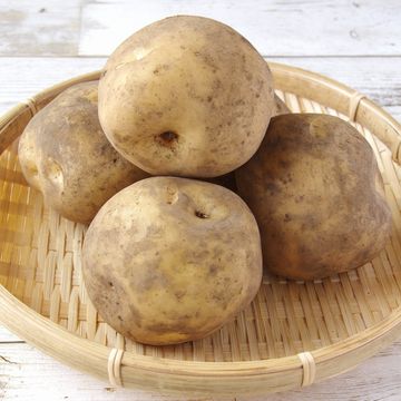 野菜ストッカーでの収納が適している野菜