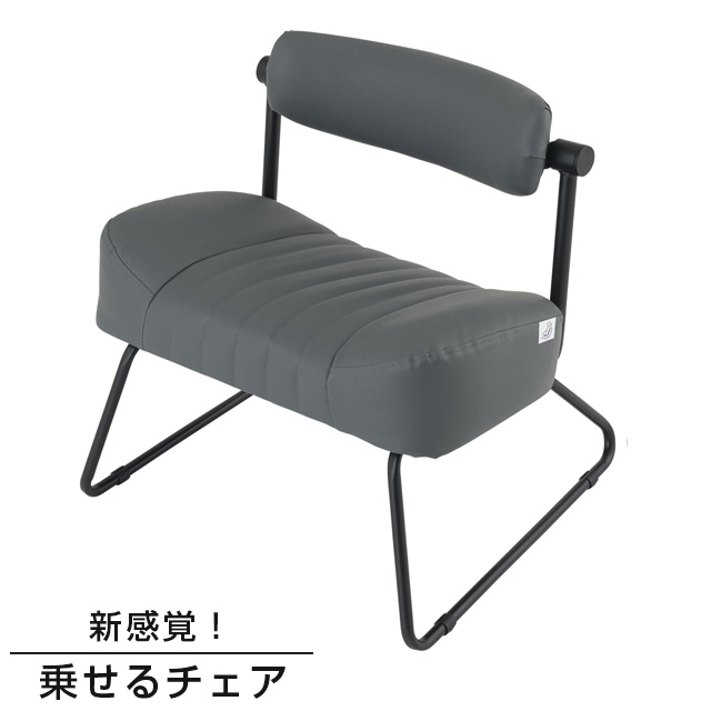 Re:ノセルチェア キャスパーチェア グレー 座椅子 高座椅子 幅56×奥行51×高さ57cm 座面高31cm RE-AW GY