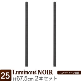 ルミナス ノワール ポール070 2P 支柱 長さ67.5cm 2本セット