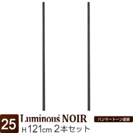 [25] ルミナス ノワール ポール120 2P 支柱 長さ121cm 2本セット